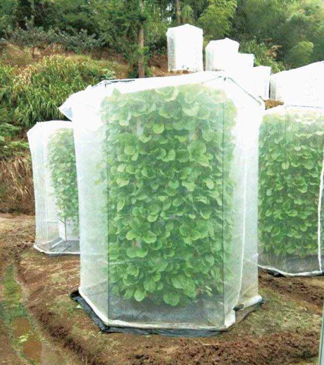 1652956780175176.jpg 2.jpg