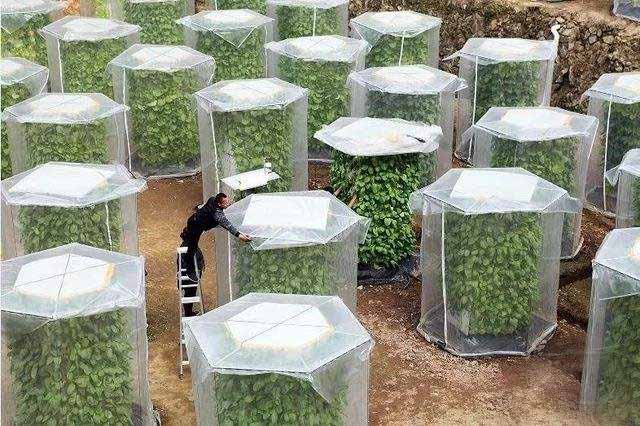 1652956796865631.jpg 5.jpg